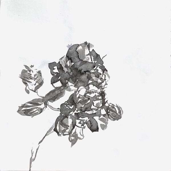 Cover art for how the wild flowers grow